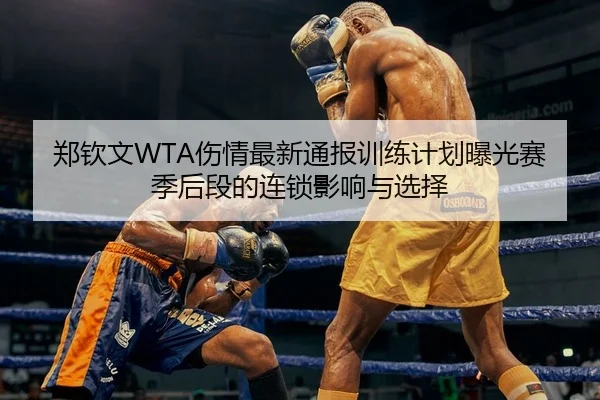 郑钦文WTA伤情最新通报训练计划曝光赛季后段的连锁影响与选择